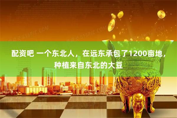 配资吧 一个东北人,在远东承包了1200亩地,种植来自东北的大豆