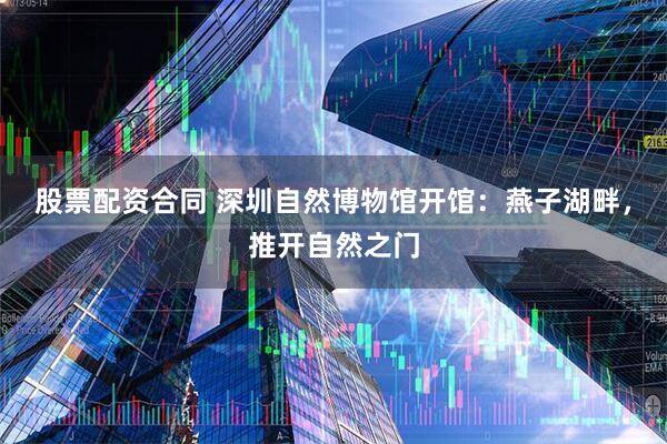 股票配资合同 深圳自然博物馆开馆：燕子湖畔，推开自然之门